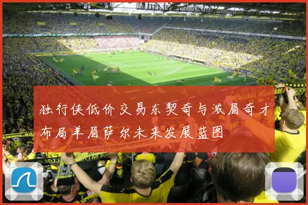 独行侠低价交易东契奇与浓眉奇才布局羊眉萨尔未来发展蓝图