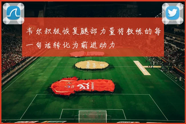 韦尔积极恢复腿部力量将教练的每一句话转化为前进动力