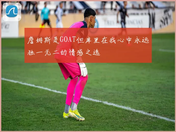 詹姆斯是GOAT但库里在我心中永远独一无二的情感之选