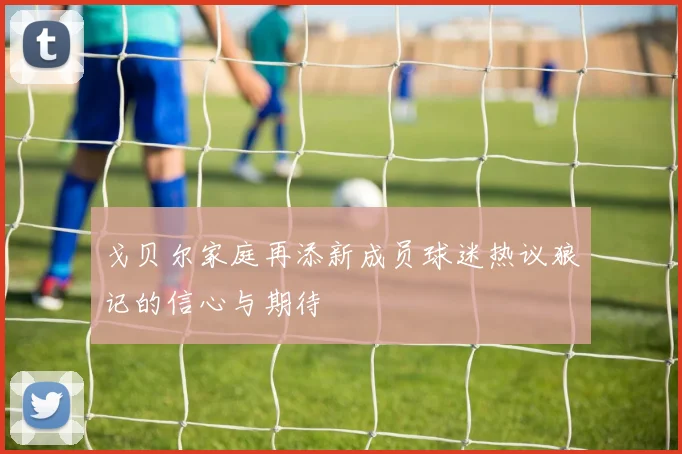 戈贝尔家庭再添新成员球迷热议狼记的信心与期待